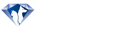 Diamond Pet Travel Logo